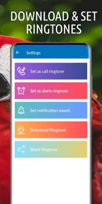 Animal Ringtones android App screenshot 4